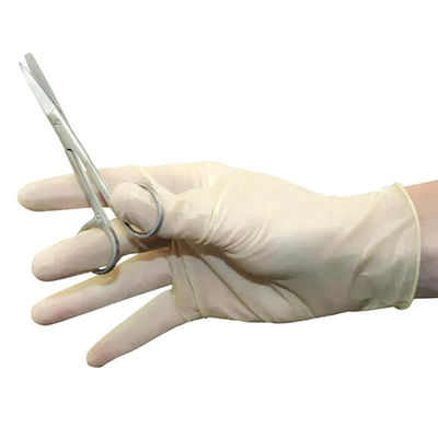 I guanti in polvere medici del lattice spolverizzano il guanto libero dell'esame del lattice per dentario