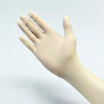 guanto in polvere sterile dell'esame del lattice della mano di sicurezza dei guanti chirurgici del lattice 6ml