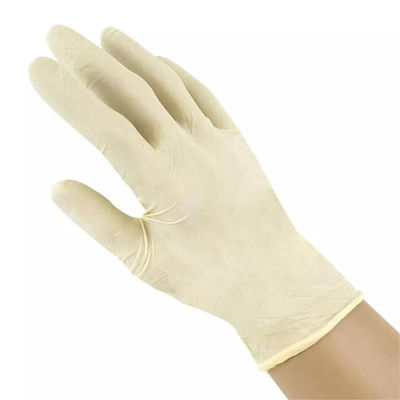 guanto in polvere sterile dell'esame del lattice della mano di sicurezza dei guanti chirurgici del lattice 6ml