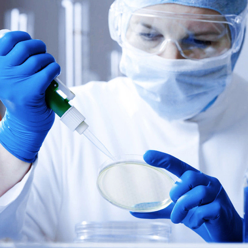 Guanti eliminabili di sicurezza di ISO14001 6 Mil Nitrile Medical Examination Gloves